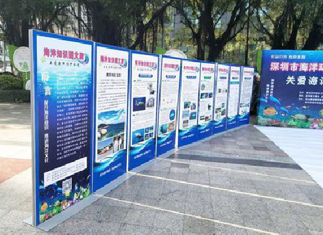 叙永KT板的种类和知识。